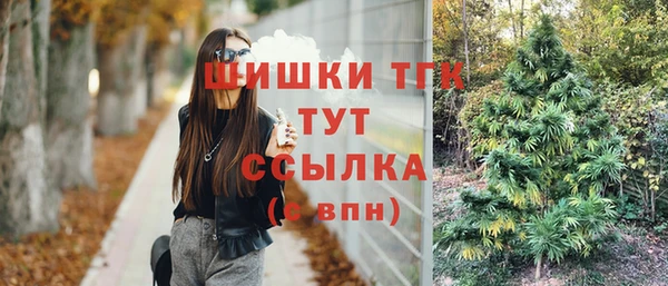 mix Кодинск