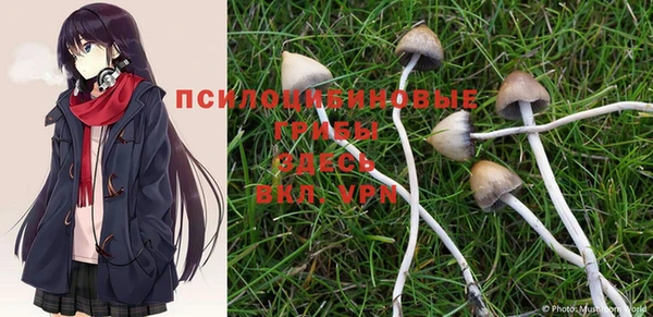 a pvp Козельск