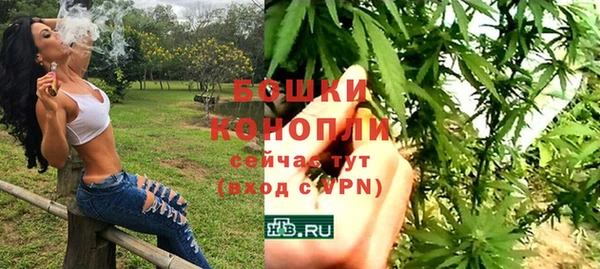 2c-b Козловка