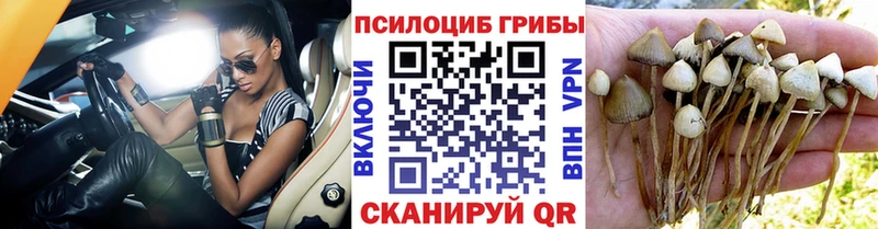 Галлюциногенные грибы прущие грибы Лангепас